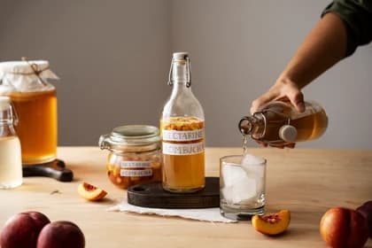 what is kombucha tea good for