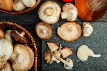 adaptogenic mushrooms