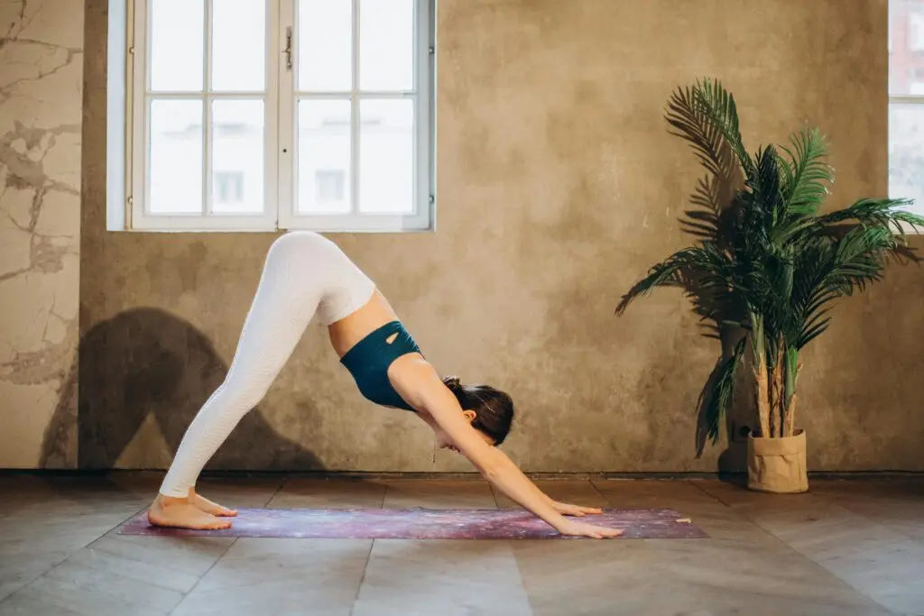Downward Facing Dog