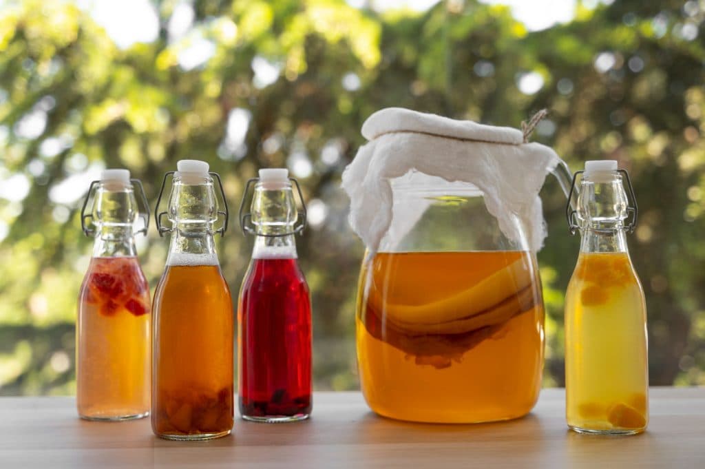 kombucha tea recipe