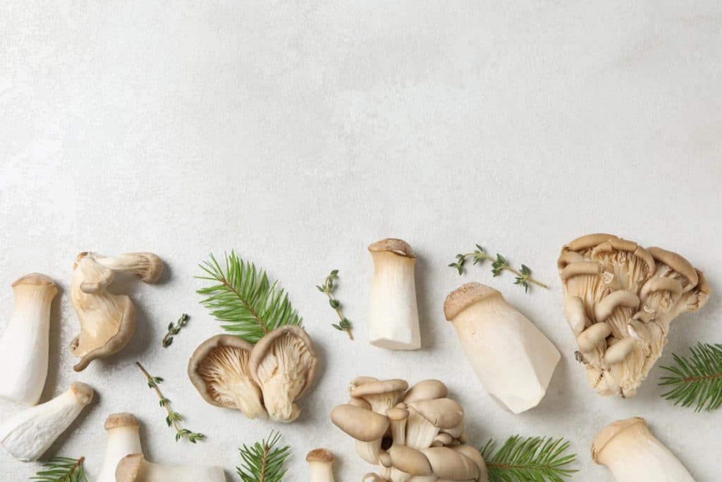types of adaptogenic mushrooms