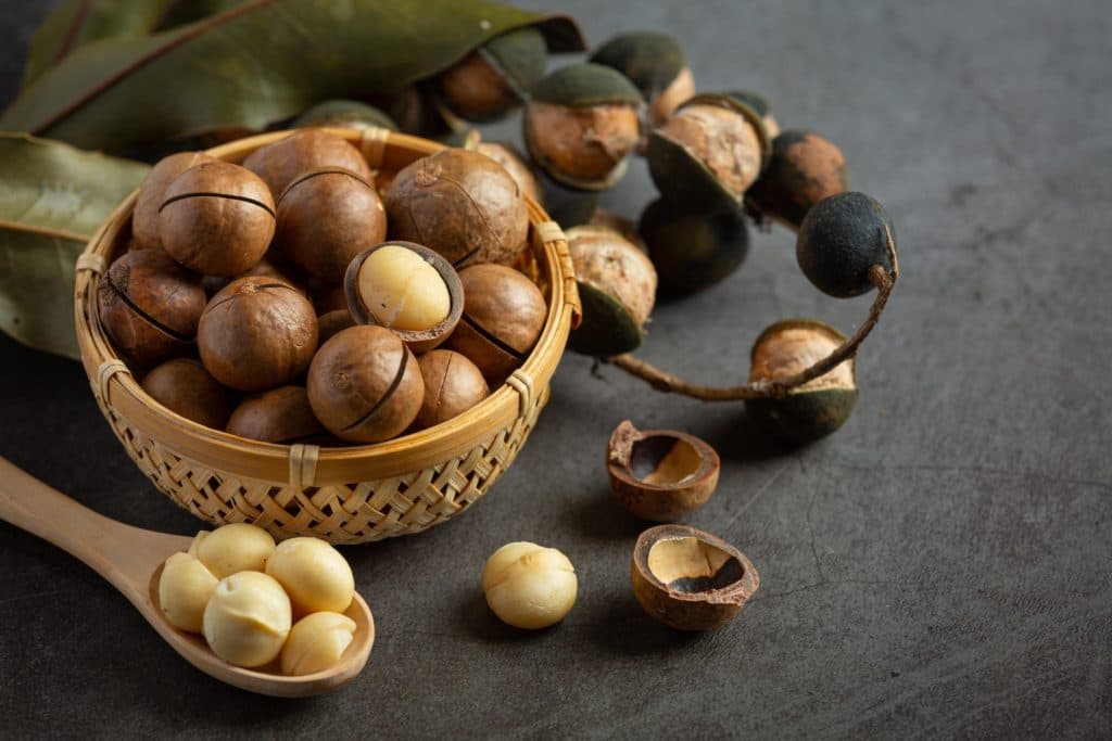 فوائد زيت الارغان