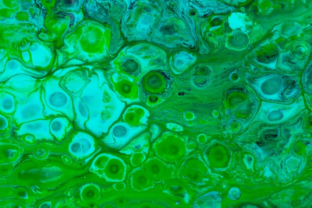 36 hour fast benefits